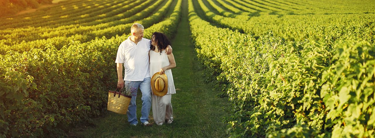 Couple walking through a green field